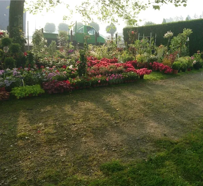 Horticulture Corti Paysage 2 (4)