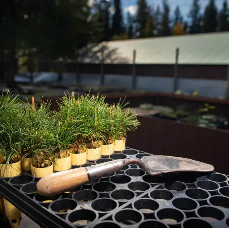 Horticulture Corti Paysage 2 (1)